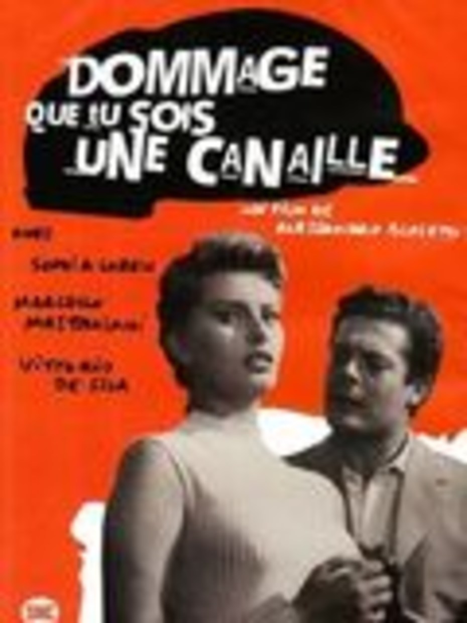 Dommage Que Tu Sois Une Canaille Dommage que tu sois une canaille (2014) au Cinéma Charleville Mézières